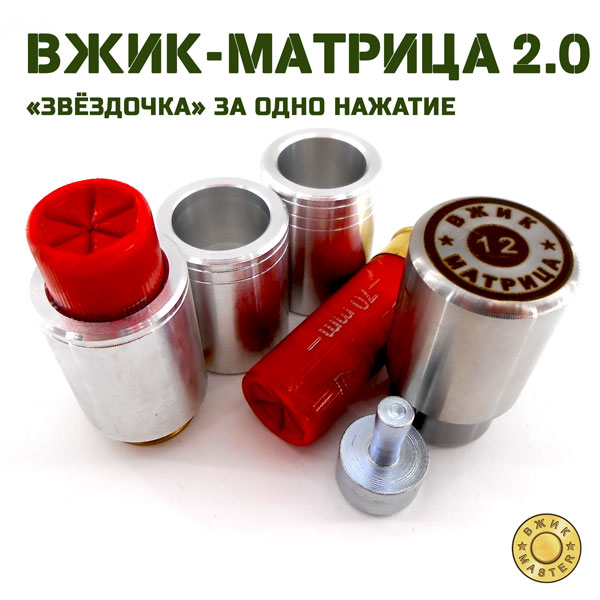 ВЖИК-Матрица 2.0, 12 - 20 кл